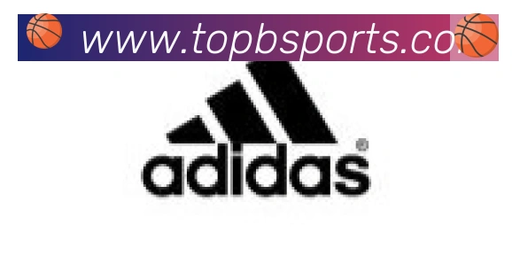 Bsports官网合作伙伴